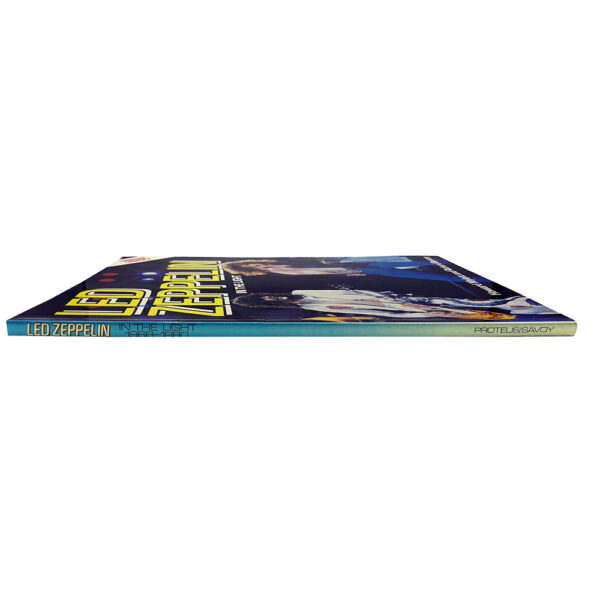 Book <br>In the Light (UK) - Image 3