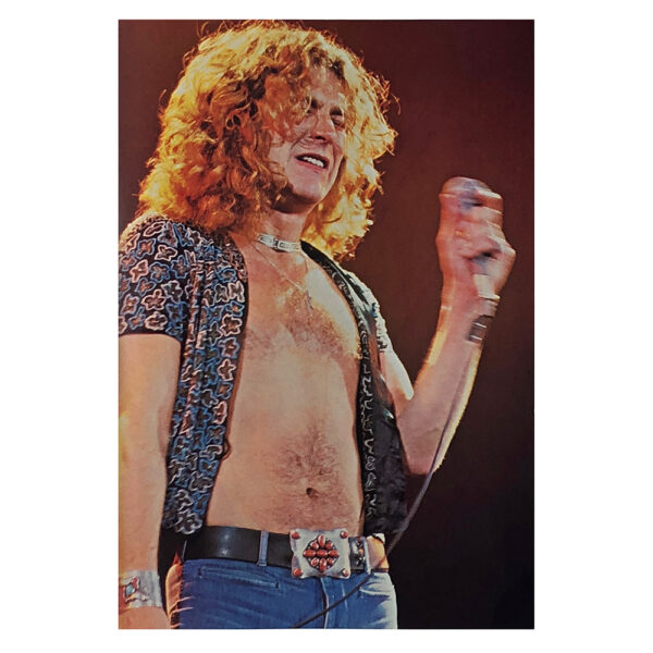 Magazine <br>Super Rock Spectacular (1978) - Image 2