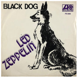 Single <br>Turkey (72500) <br>Black Dog / Misty Mountain Hop (Promo #2)