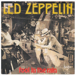 Single <br>Italy (W 19421) <br>Fool In The Rain / Hot Dog (#1)