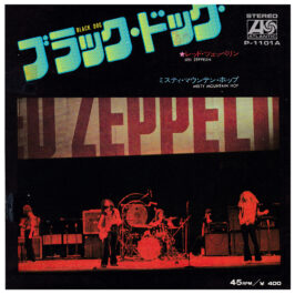 Single <br>Japan (P-1101A) <br>Black Dog / Misty Mountain Hop (Promo)