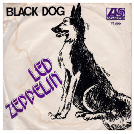 Single <br>Turkey (72500) <br>Black Dog / Misty Mountain Hop (#1)