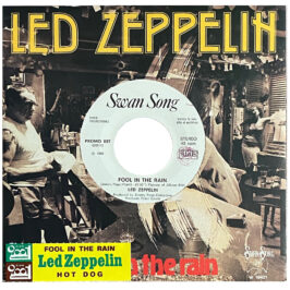 Single <br>Italy (Promo 097) <br>Fool In The Rain / Hot Dog (Promo #2)