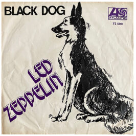 Single <br>Turkey (72500) <br>Black Dog / Misty Mountain Hop (#2)