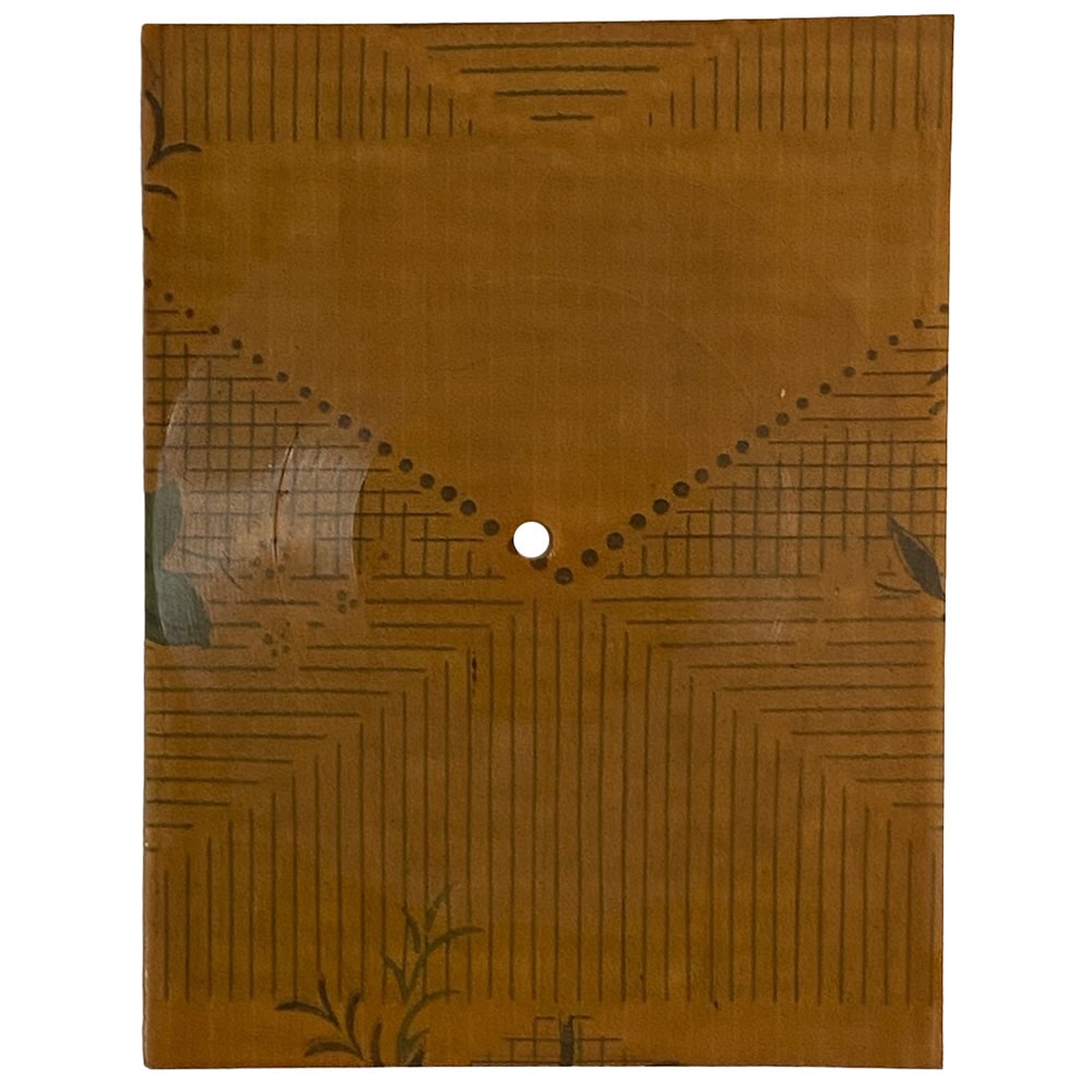 Flexi Disc <br>Poland (12z) <br>Four Sticks / Paranoid