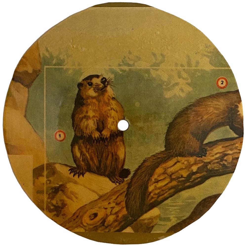 Flexi Disc <br>Poland (N/A) <br>Friends / Celebration Day