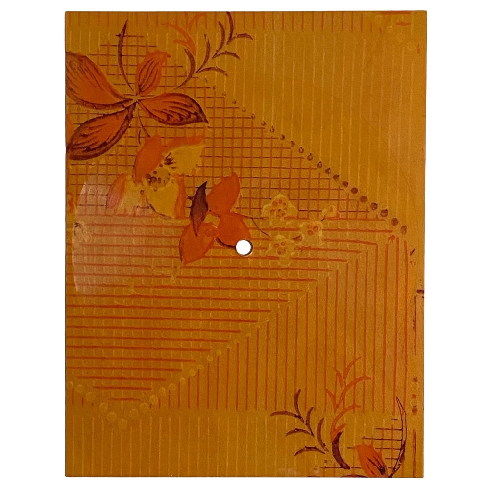 Flexi Disc <br>Poland (46z) <br>Black Dog / Fireball (#3)