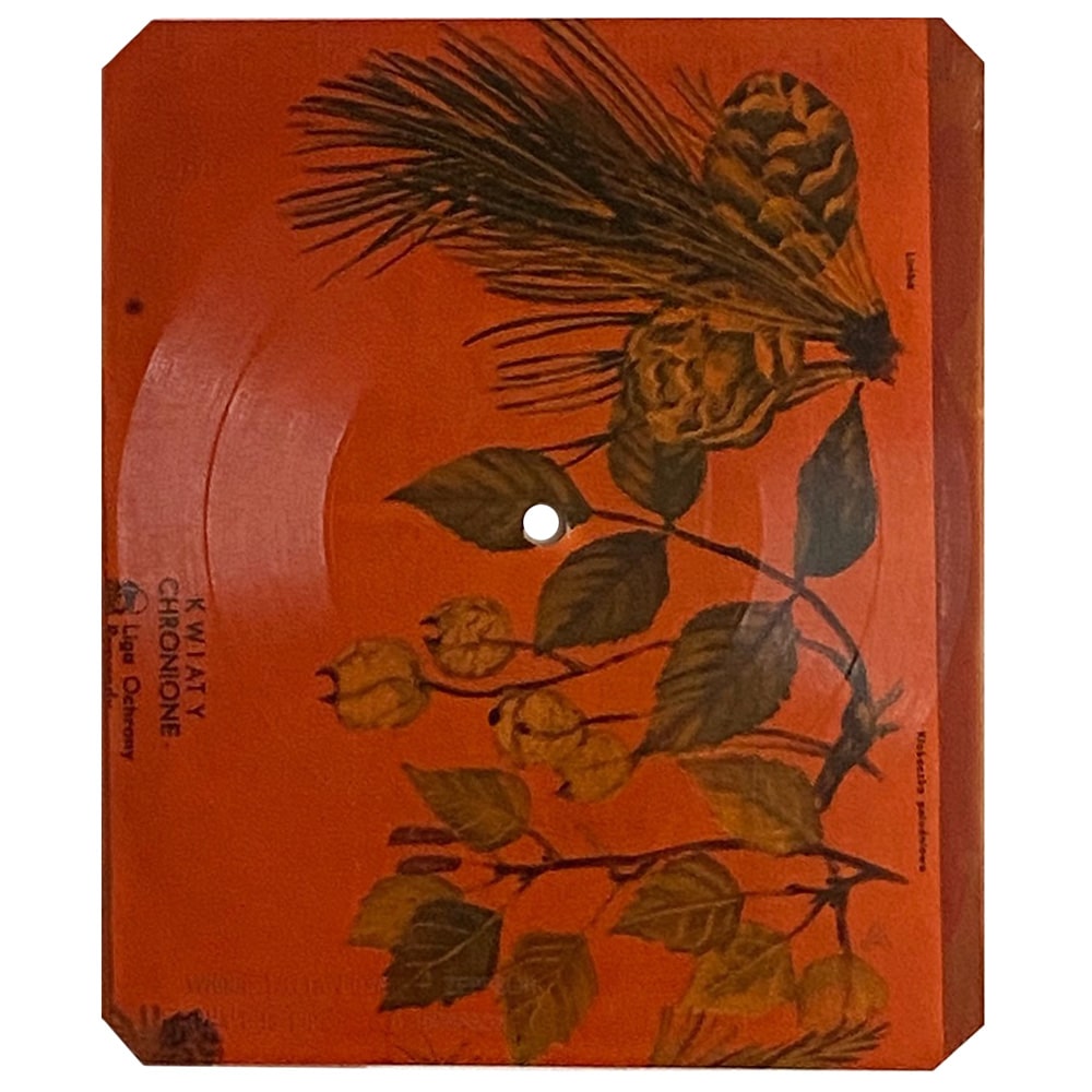 Flexi Disc <br>Poland (568) <br>Whole Lotta Love / What Is Life  (#2)