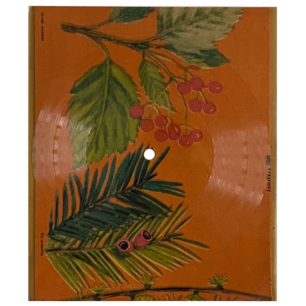Flexi Disc <br>Poland (572) <br> Tangerine / Bron-Y-Aur Stomp