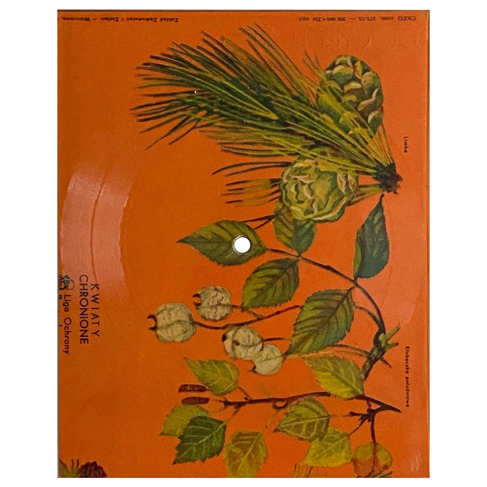 Flexi Disc <br>Poland (578) <br>Immigrant Song / Marmalade (#1)
