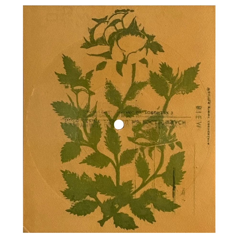 Flexi Disc <br>Poland (677) <br>Black Dog / Four Sticks (#12)