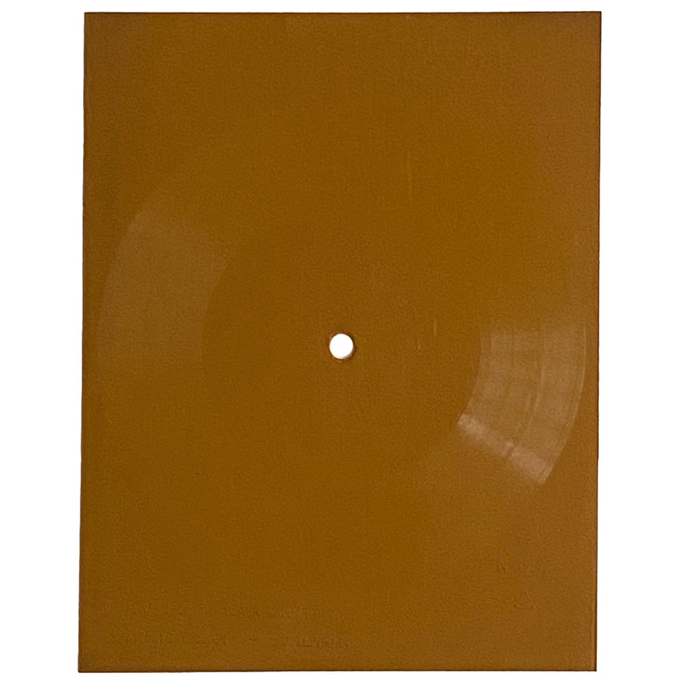 Flexi Disc <br>Poland (N-037) <br>Celebration Day / Paranoid (#3)