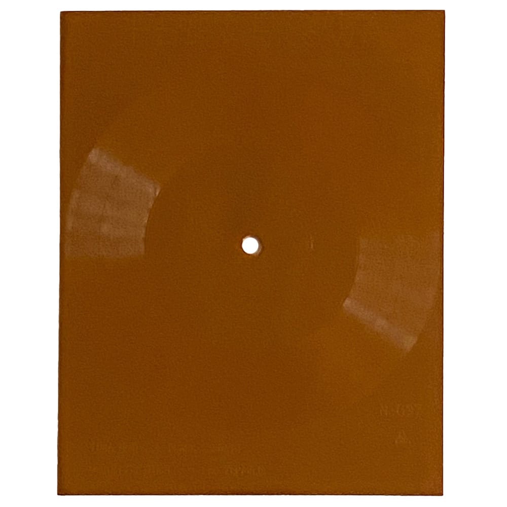 Flexi Disc <br>Poland (N-037) <br>Celebration Day / Paranoid (#4)