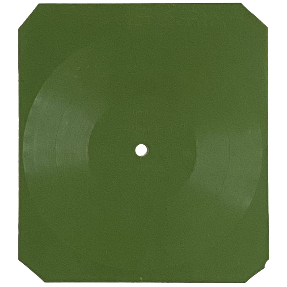 Flexi Disc <br>Poland (N-370) <br> Friends / Celebration Day (#1)