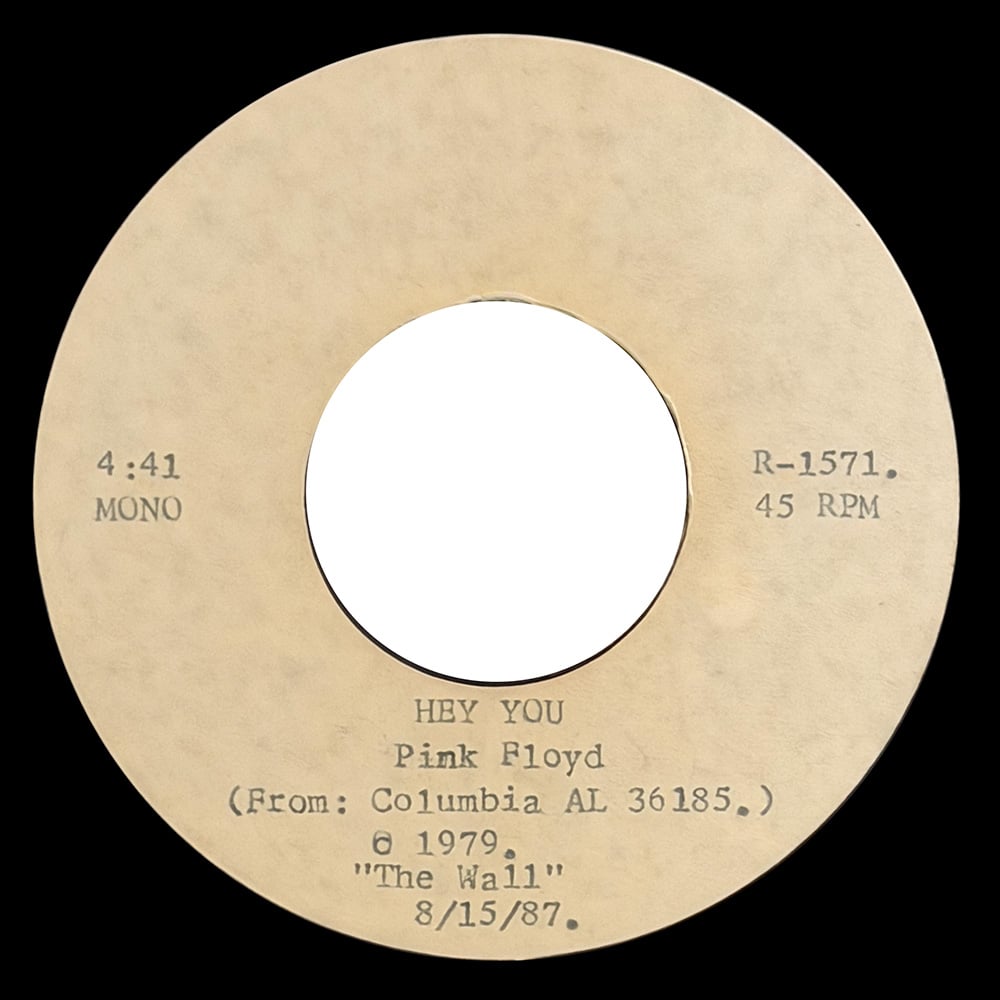 Single <br>USA (R-1570) <br>Going To California / Hey You (Acetate) - Image 2
